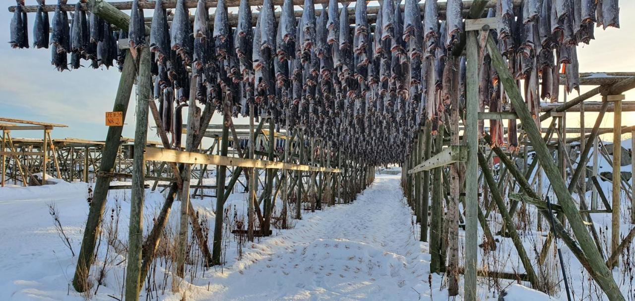 Vila Rorbu Kvalen 17 Ballstad Exteriér fotografie